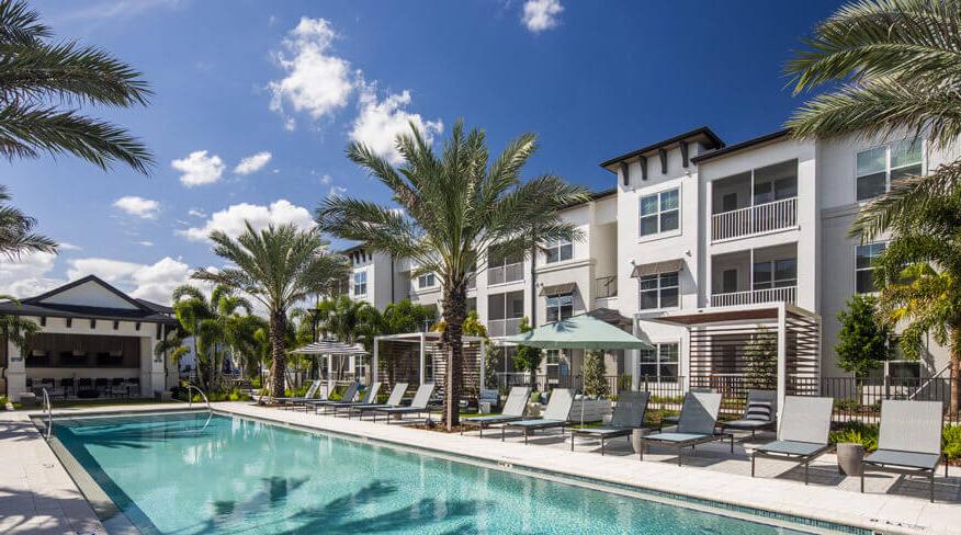 Sun loungers lined up among palm trees over the open pool